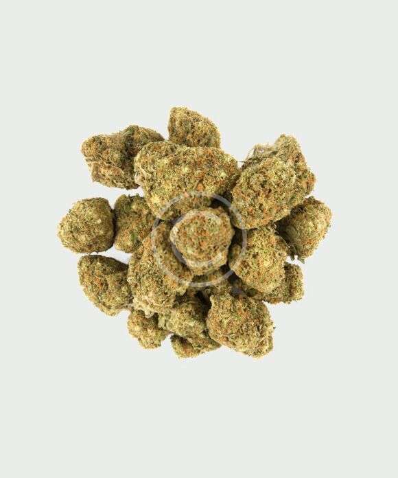 Alpine haze hemp flower