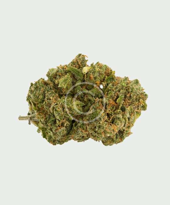 Mountain frost indica bud